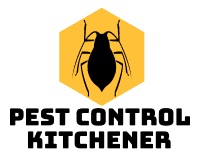 Pest Control Kitchener